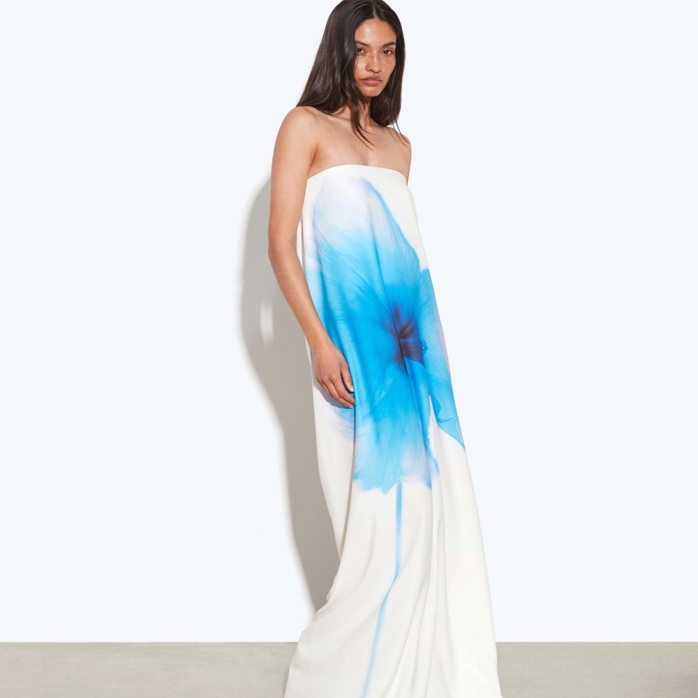 Rat & Boa Backless White and Blue Dress